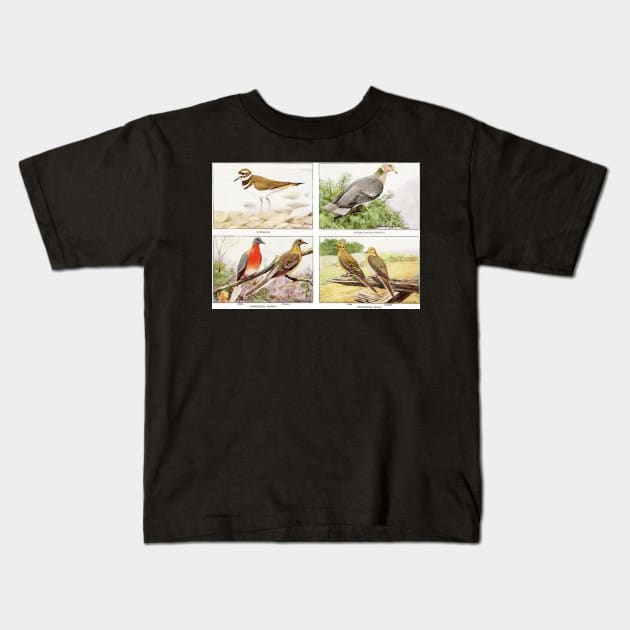 Mixed Birds Kids T-Shirt by longford